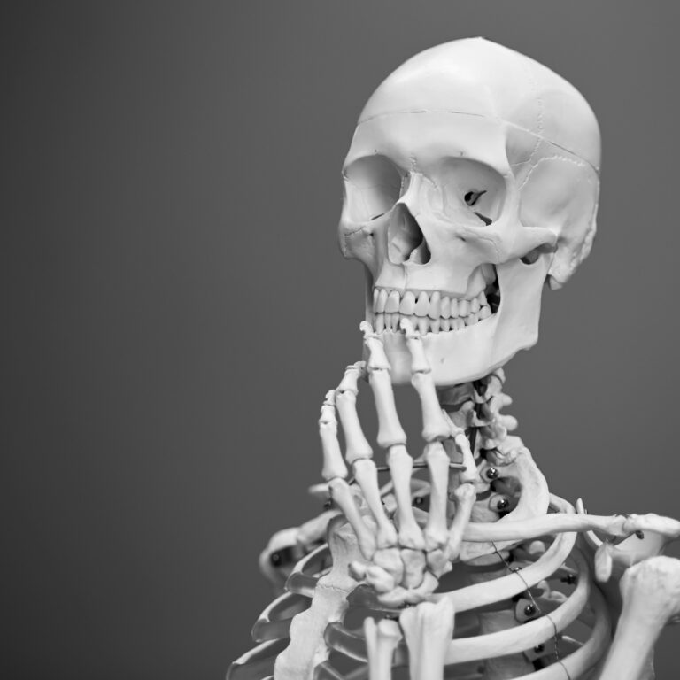 A contemplative skeleton poses.